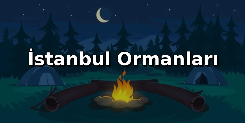 İstanbul Ormanları: 2026 Yasakları ve Bilmeniz Gerekenler