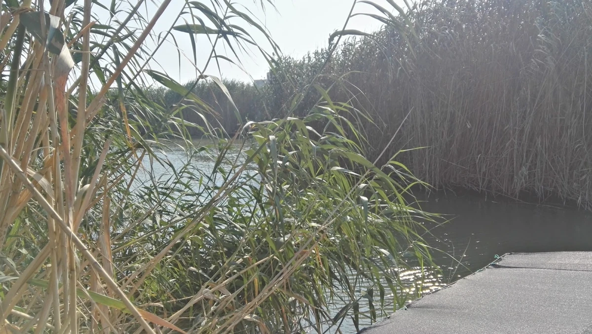 Adrasan Camping - Günübirlik Piknik Alanı Fotoğrafı