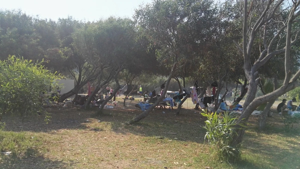 Adrasan Camping - Günübirlik Piknik Alanı Fotoğrafı