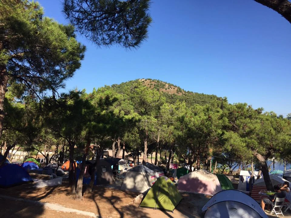 Ayvalık Çamlık Kamping - Görsel 2