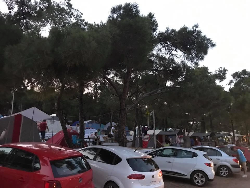 Ayvalık Çamlık Kamping park alanı görseli