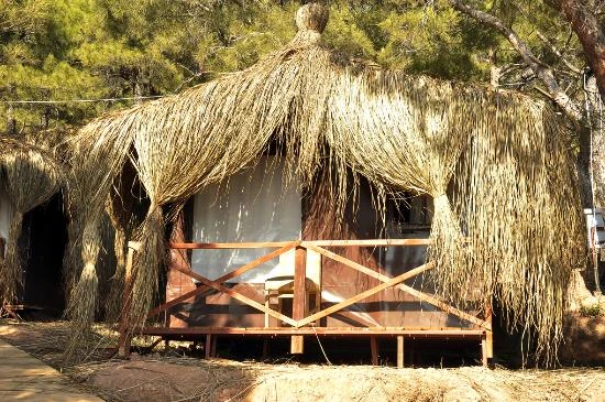 Ayvalık Camping Saklı Cennet Fotoğrafı