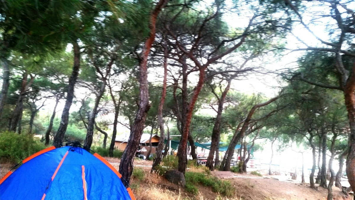 Ayvalık Camping Saklı Cennet Fotoğrafı