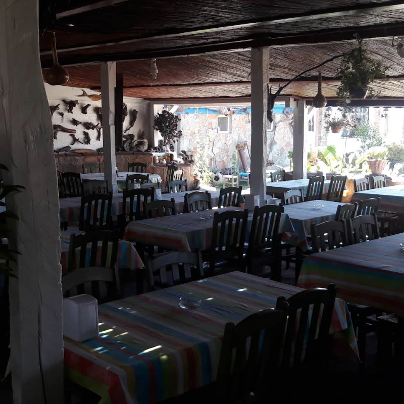 Şen Camping restaurant görseli