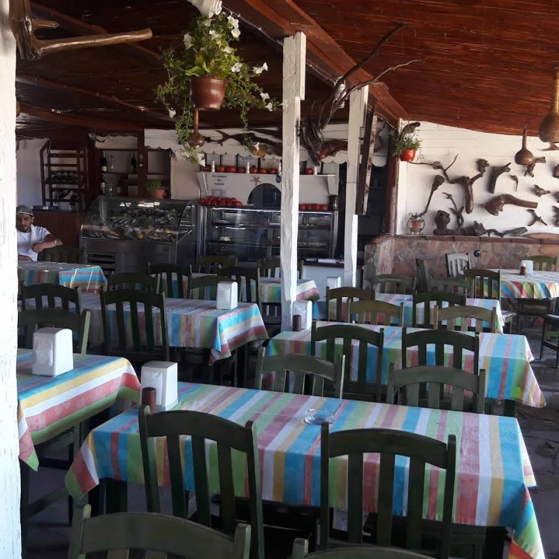 Şen Camping restaurant görseli