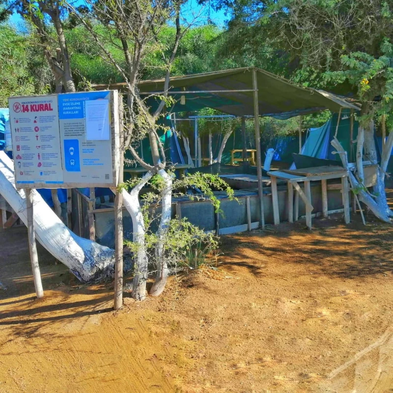 Toprak Camping görüntüsü