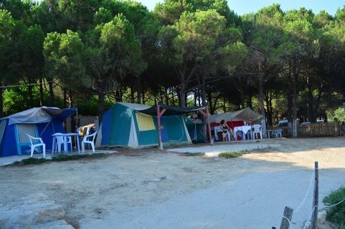 Zargana Tatil Köyü konaklama alanı görüntüsü