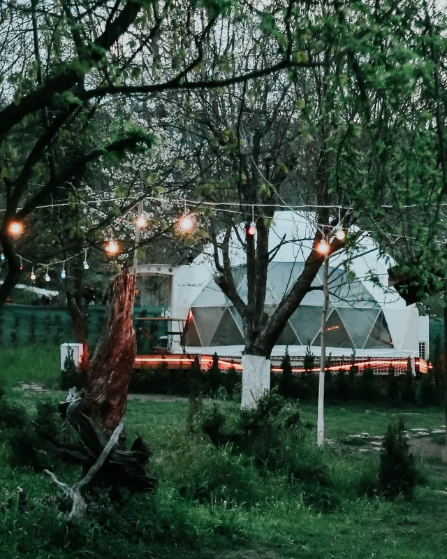 hypnos-sapanca-glamping Fotoğrafı