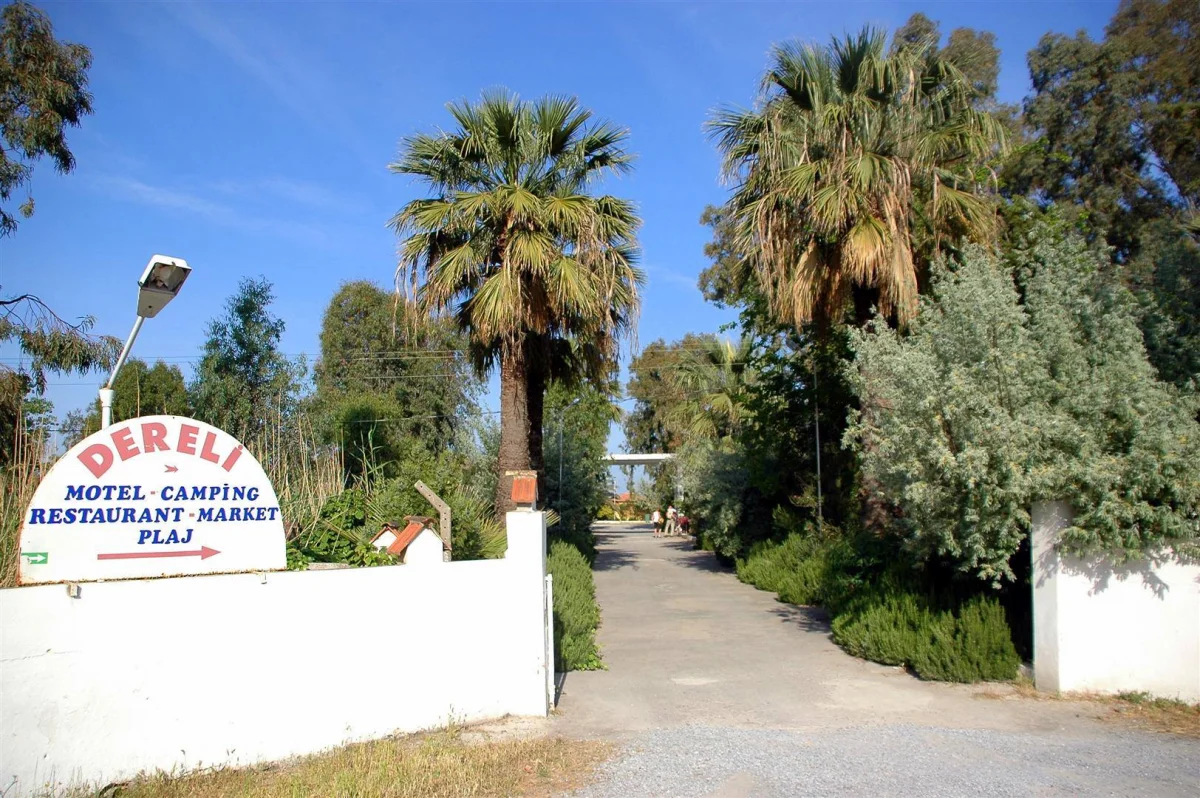 flamingo-camping Fotoğrafı