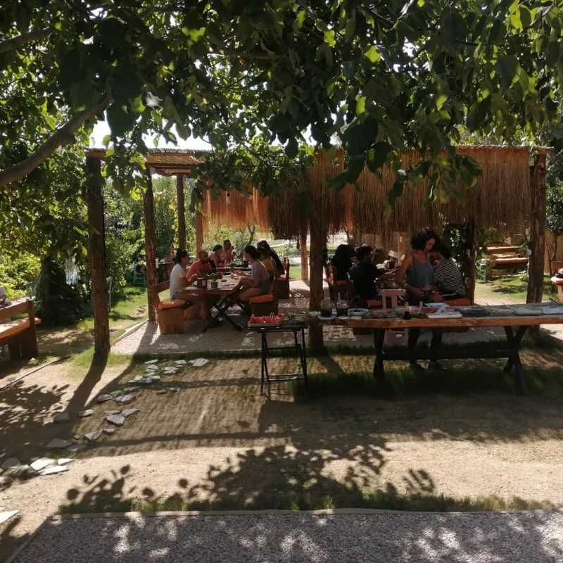 flamingo-camping Fotoğrafı