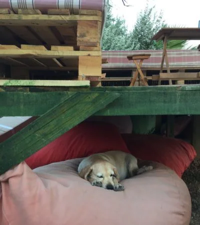 bozcaada-camping Fotoğrafı