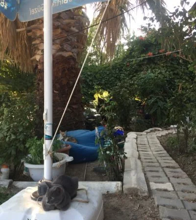 bozcaada-camping Fotoğrafı