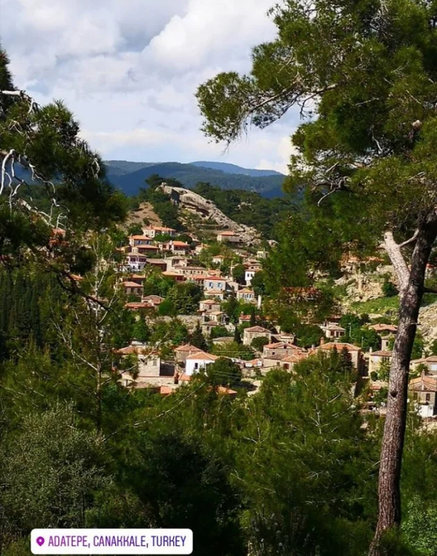 inek-obasi-cadir-kamp Fotoğrafı