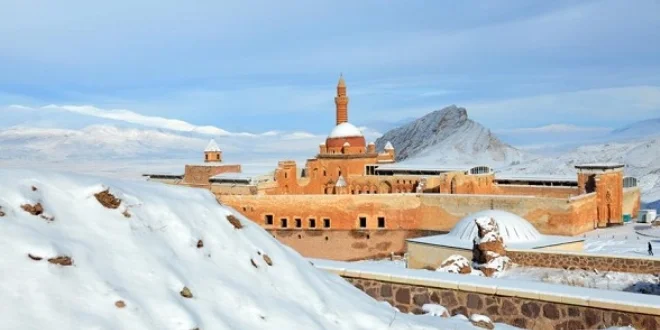 inek-obasi-cadir-kamp Fotoğrafı