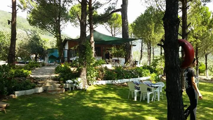 inek-obasi-cadir-kamp Fotoğrafı