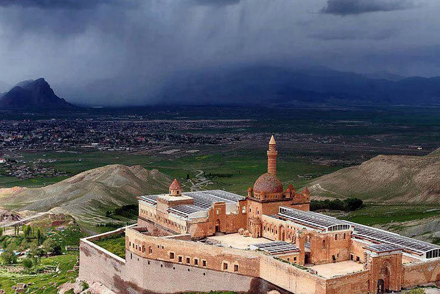 inek-obasi-cadir-kamp Fotoğrafı