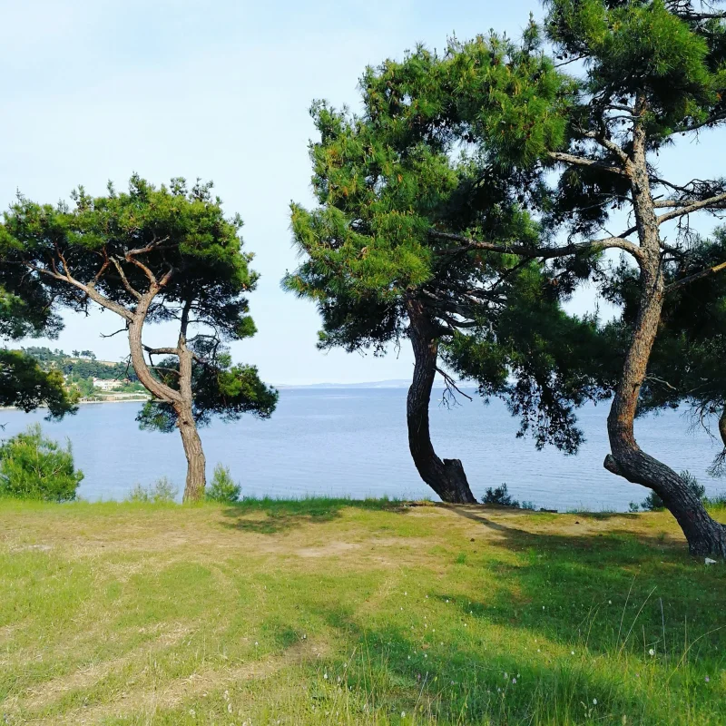 gokcetepe-tabiat-parki-kamp-alani Fotoğrafı