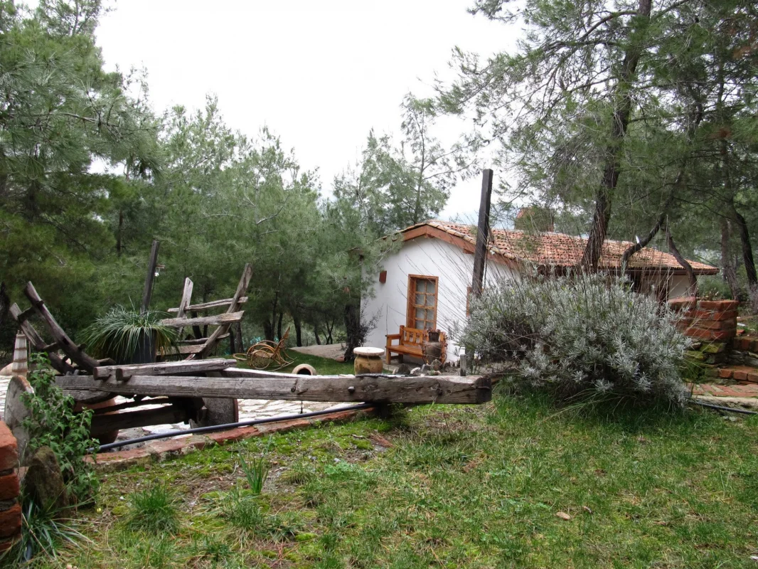 kayserkaya-kamp-yeri Fotoğrafı