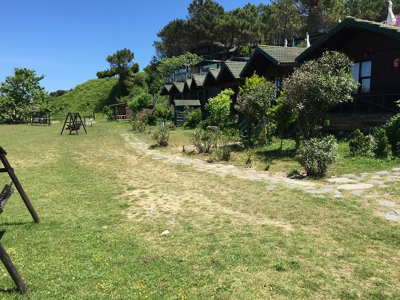 agva-woody-ville Fotoğrafı