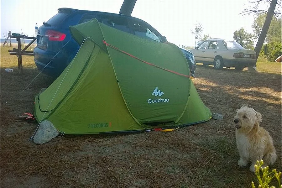 marti-camping-restaurant Fotoğrafı