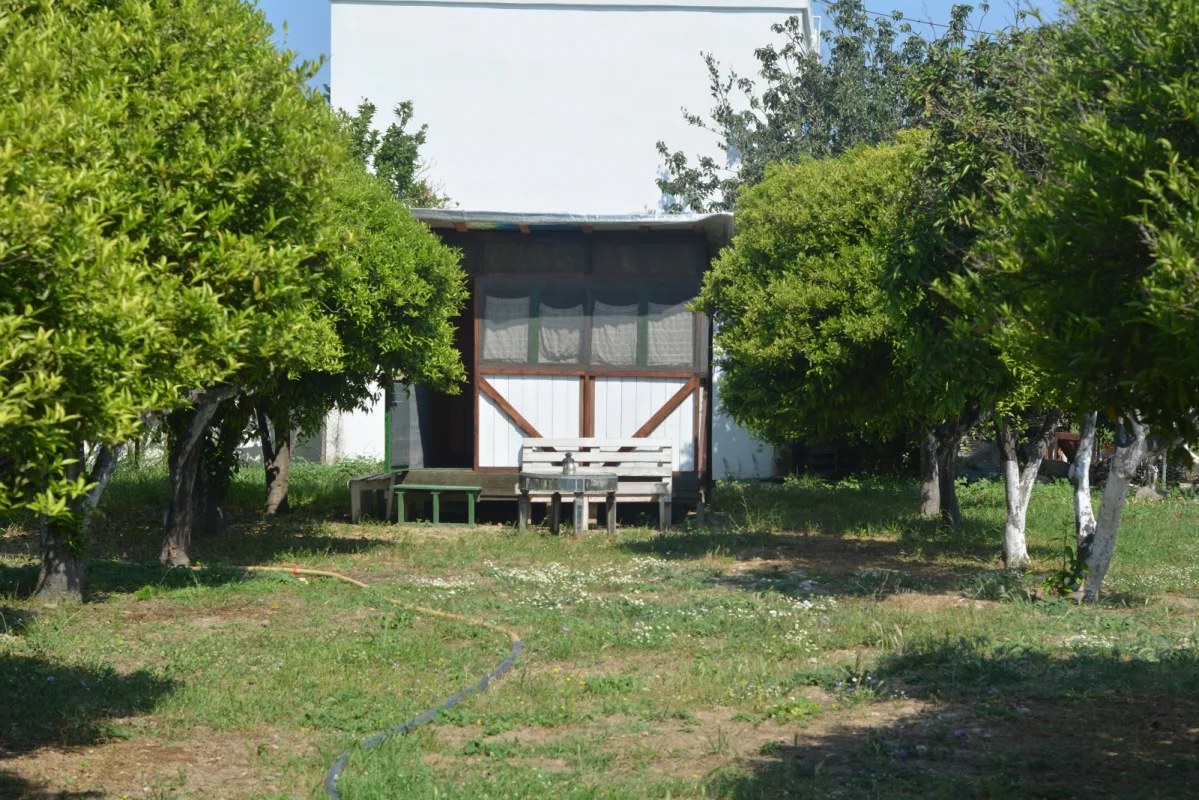 bodrum-ecofarm-camping-hostel Fotoğrafı