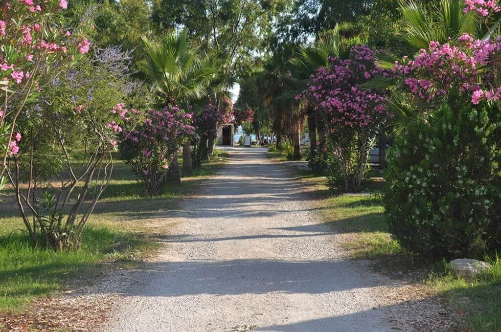 osay-camping Fotoğrafı