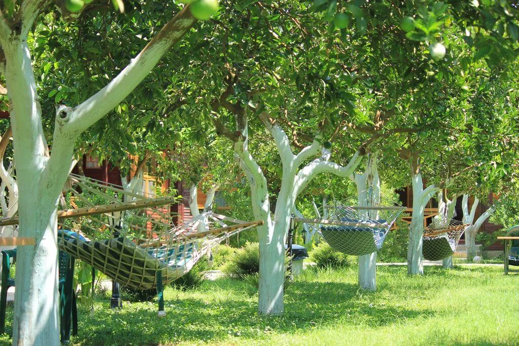 mercan-bungalow Fotoğrafı