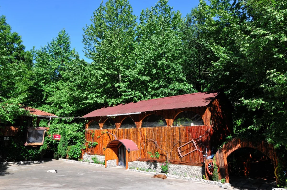 karaaslan-kamping Fotoğrafı