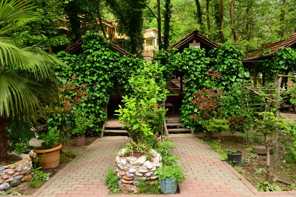 karaaslan-kamping Fotoğrafı