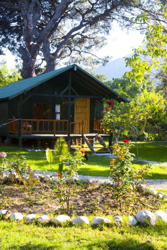 etenna-bungalow-hotel Fotoğrafı