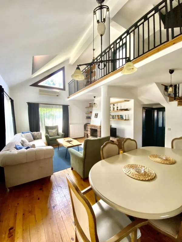 butik-evler-sapanca Fotoğrafı