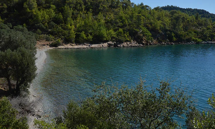 azmakbasi-camping Fotoğrafı