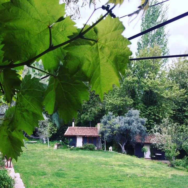 kucuk-ciftlik-bungalow-evleri  bahçe görseli