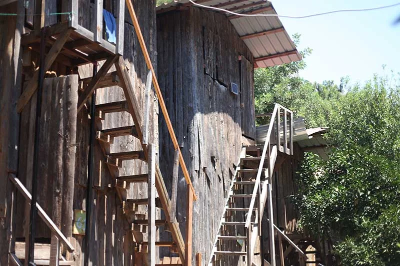 bayrams-tree-houses Fotoğrafı