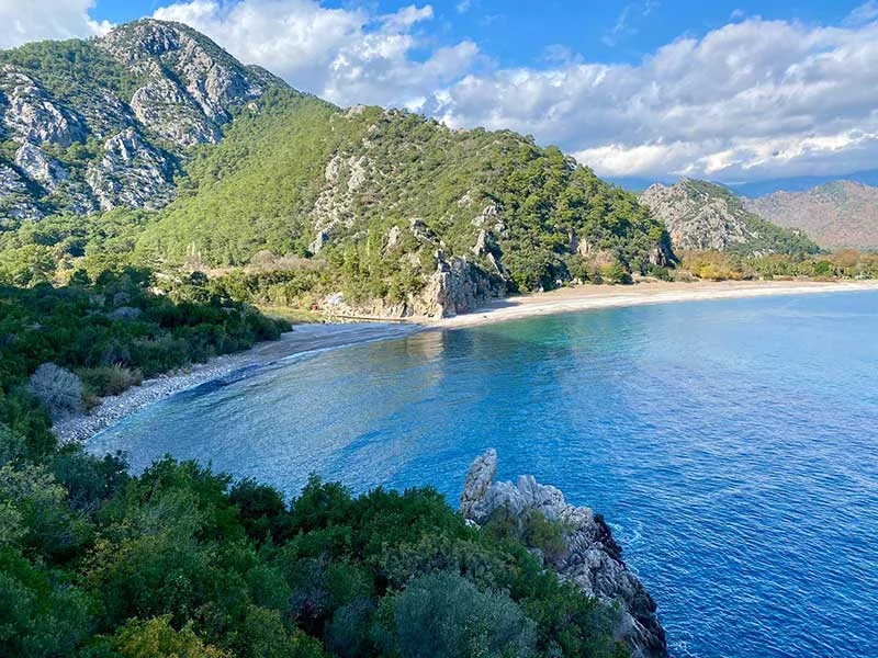 bayrams-tree-houses Fotoğrafı