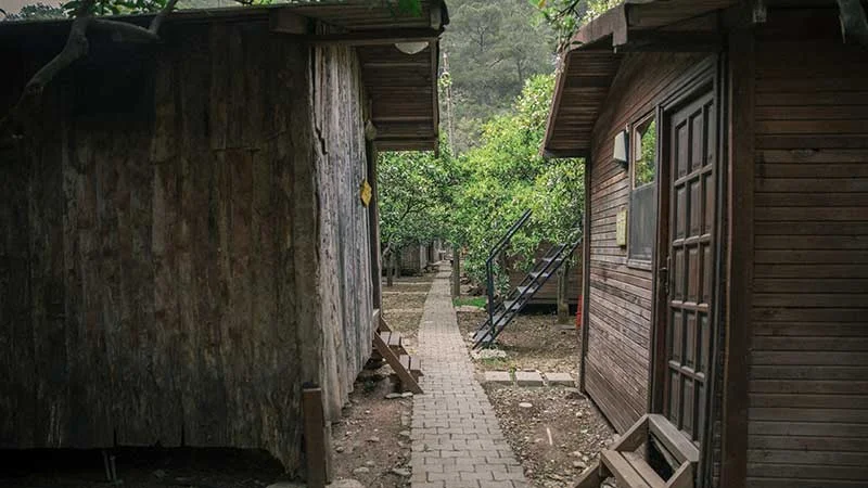 bayrams-tree-houses Fotoğrafı