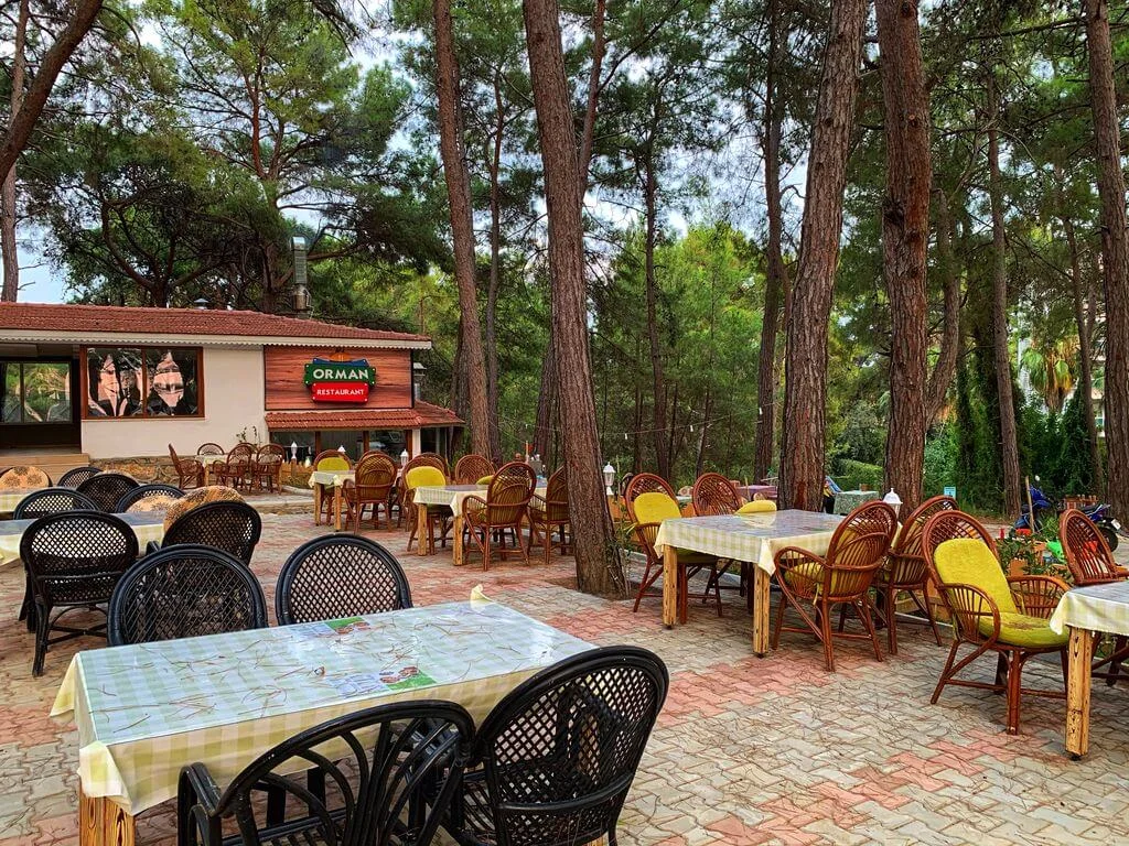 mutlu-tatil-koyu Fotoğrafı