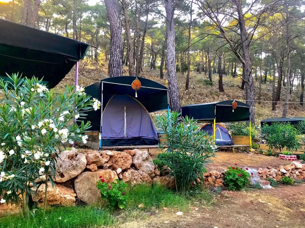bes-adalar-camping Fotoğrafı