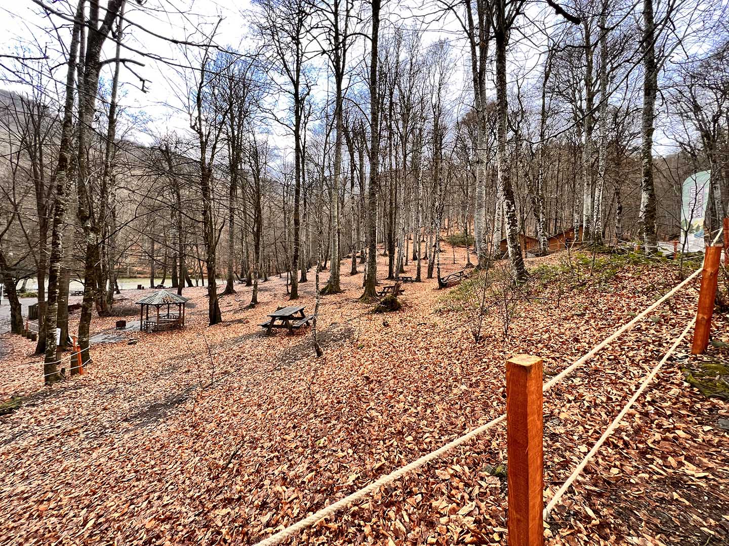 Yedigöller Milli Parkı Kamp Alanı Fotoğrafı