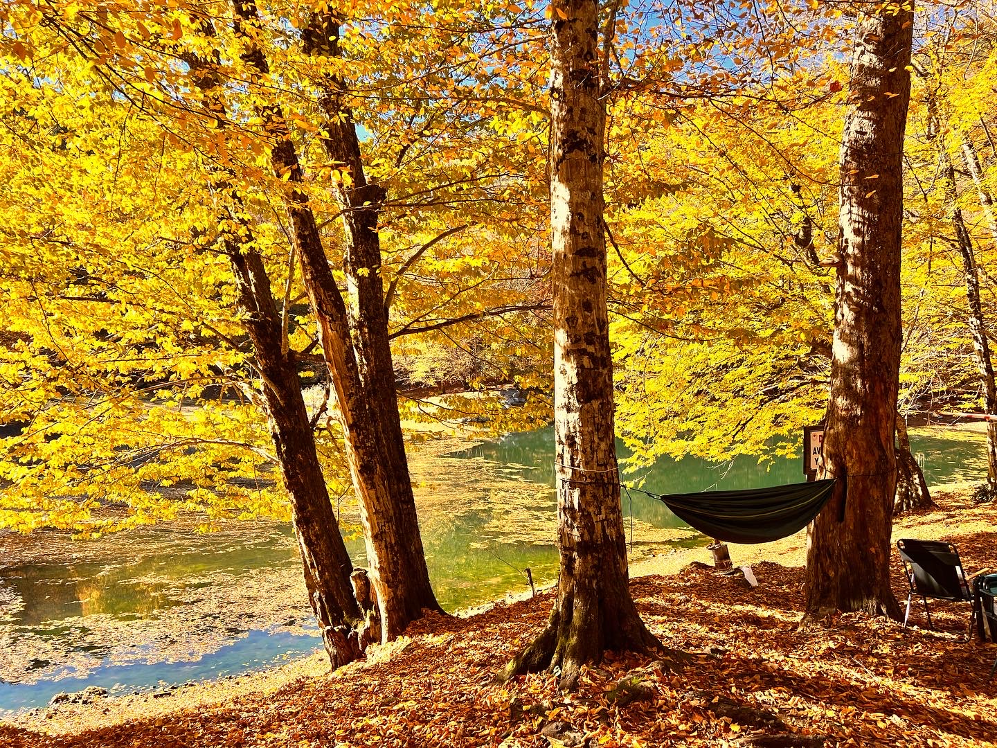 Yedigöller Milli Parkı Kamp Alanı - Ana görsel