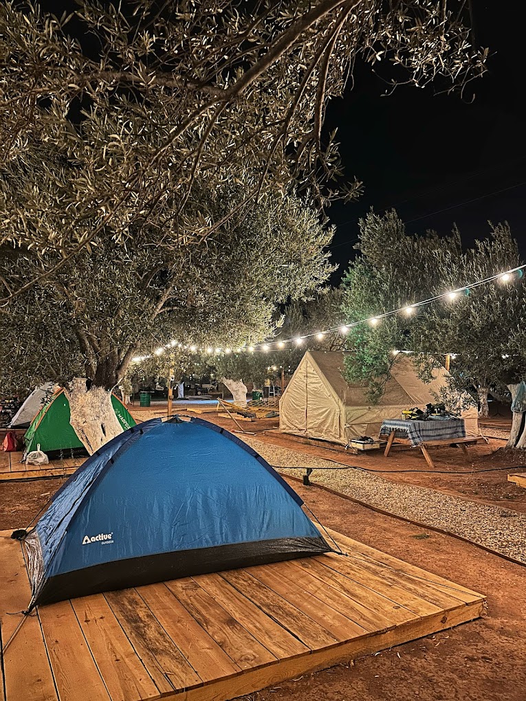 Vamos Camping Fotoğrafı