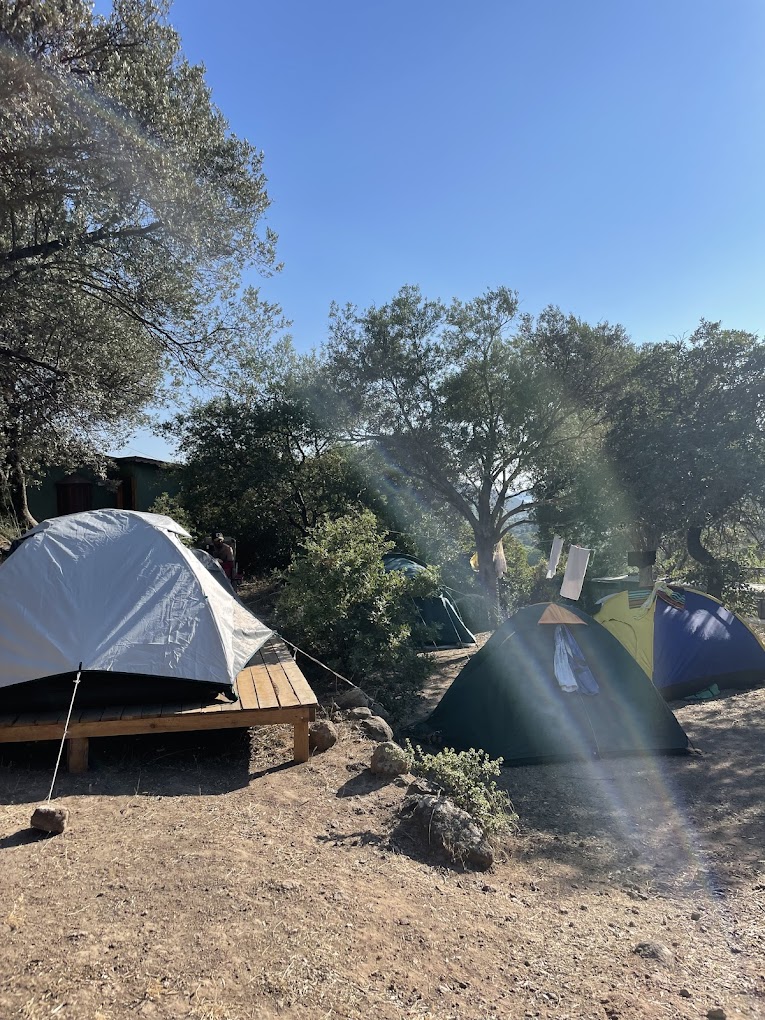 Volo Camping konaklama alanı görüntüsü