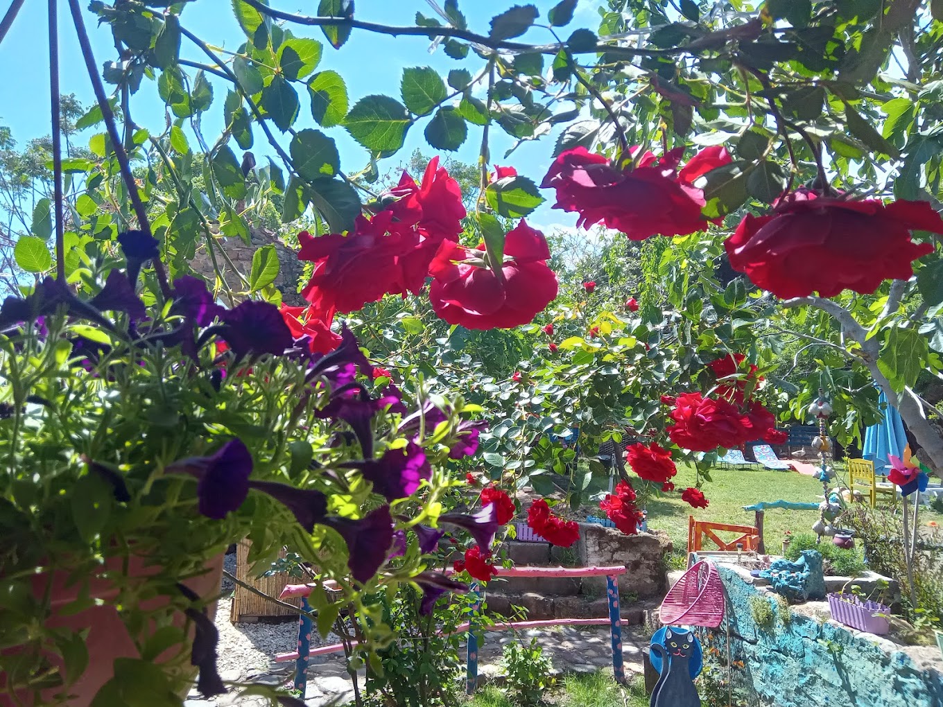 KaraKedi Butik Camping genel görüntüsü