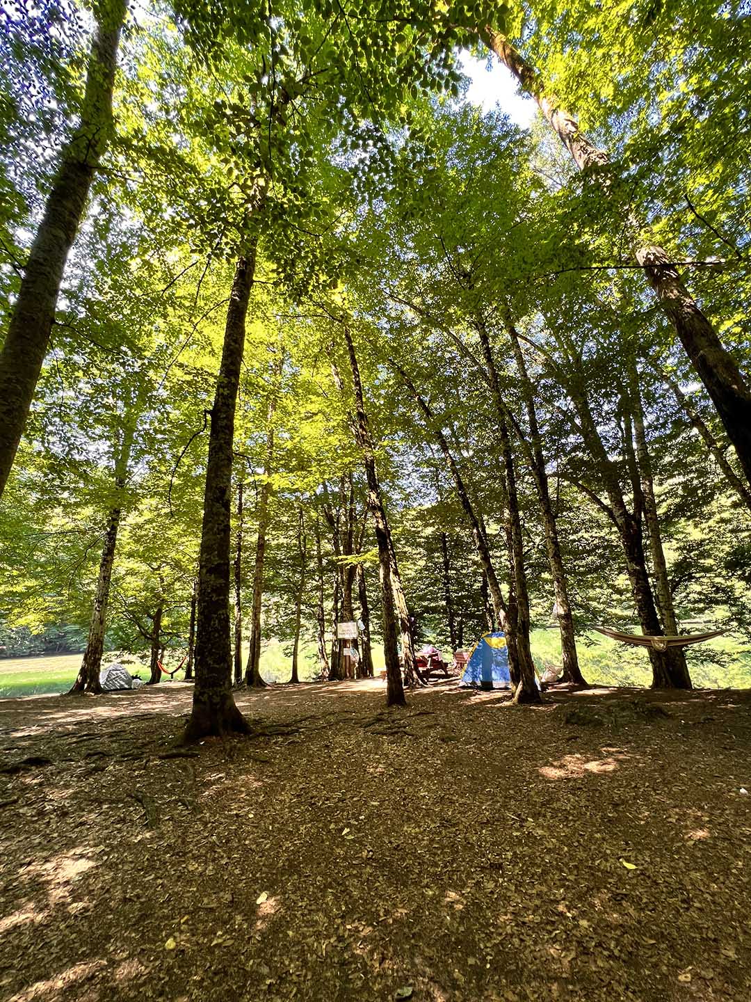 Yedigöller Milli Parkı Kamp Alanı Fotoğrafı