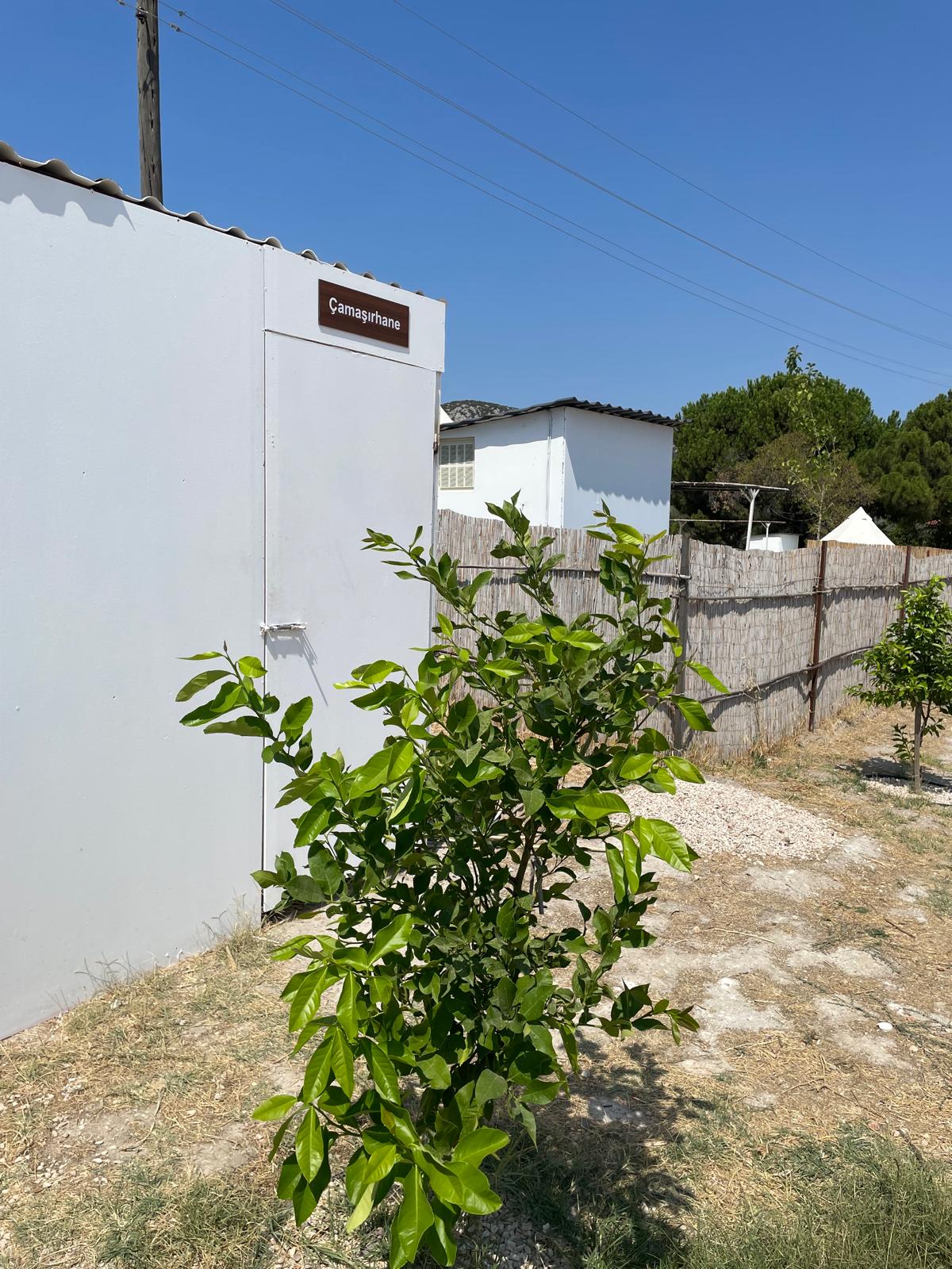 Sweet Karavan Kamping Fotoğrafı