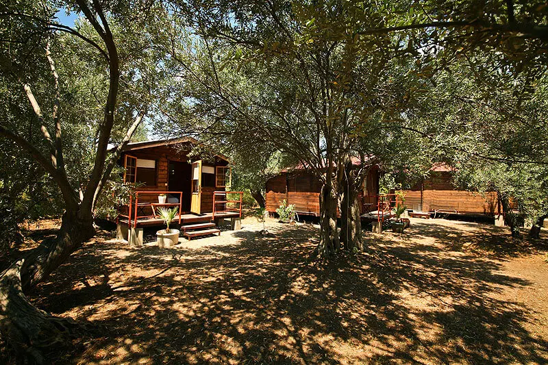 Assos Club Beyaz Fotoğrafı