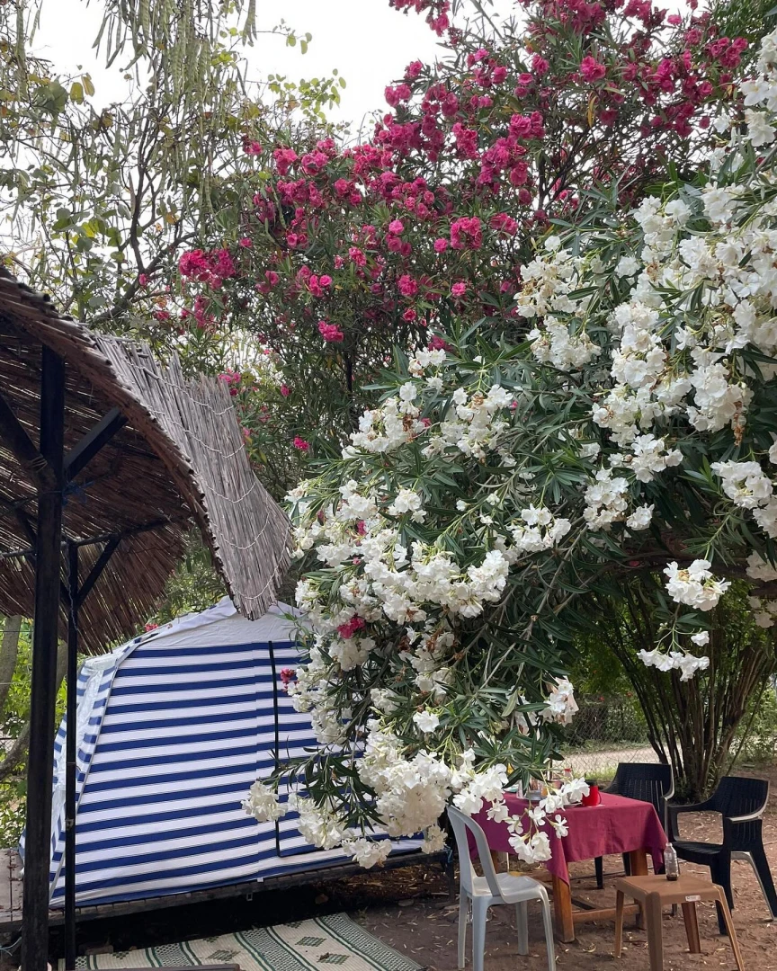 Chimera Camping çiçekli çadır alanı