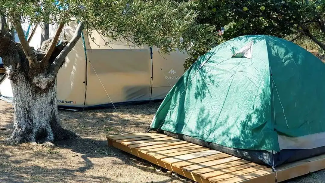 Sokakağzı Zeytin Kamp Fotoğrafı