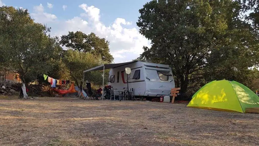 Sokakağzı Zeytin Kamp Fotoğrafı