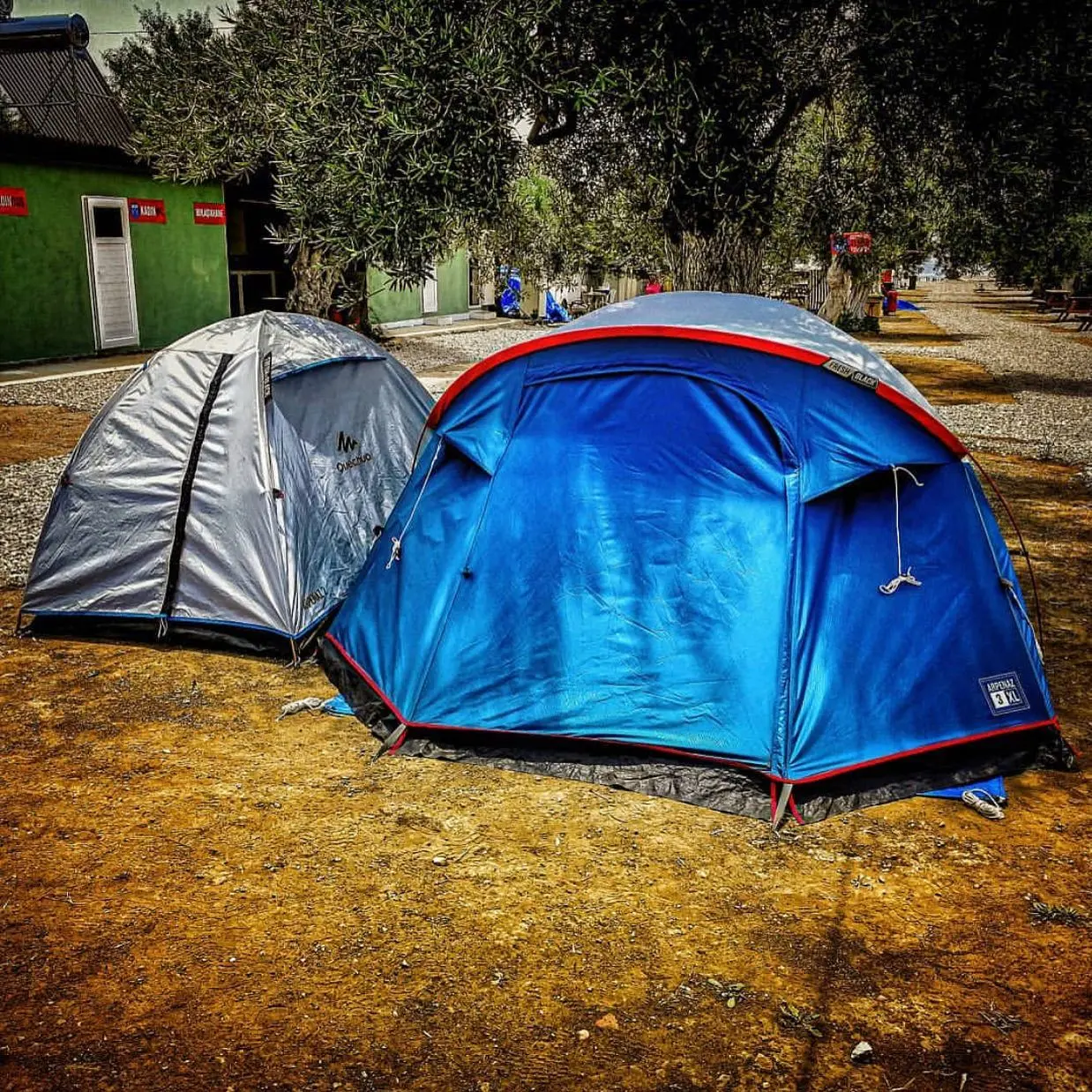 Zeus Beach &amp; Camping Fotoğrafı